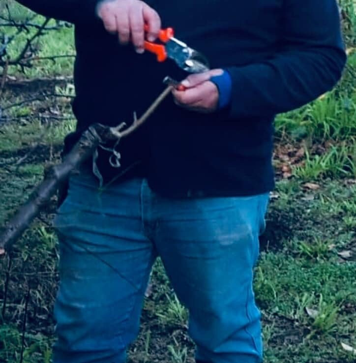 Lomas Orchards-Wallington必去景点