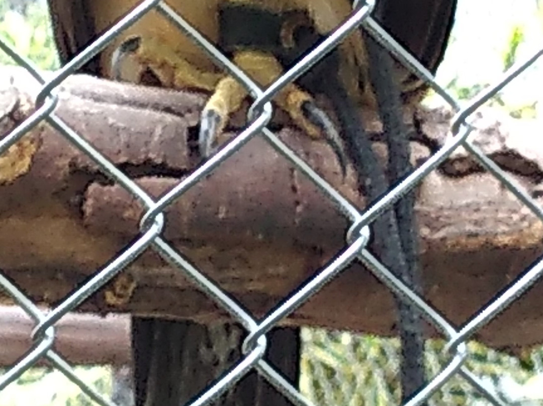 Pousada Sol e Mar主图