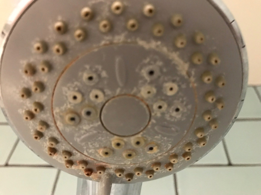 伍德斯托克阿姆斯旅馆