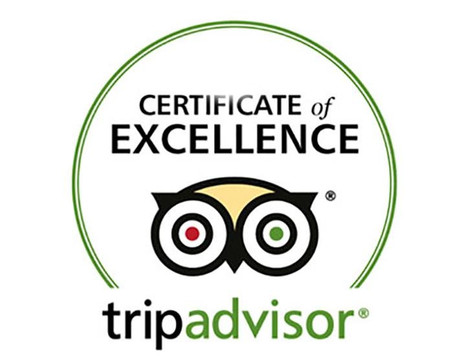 Dream Travel Tourism