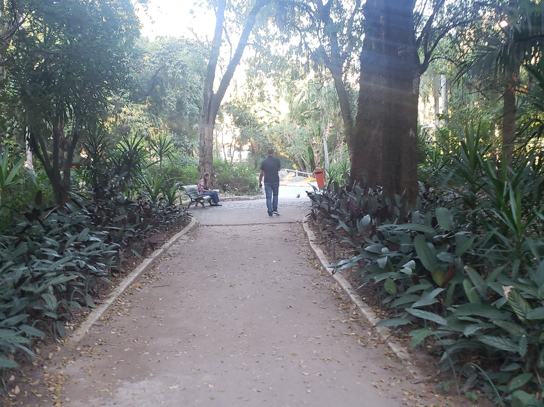 Campo de São Bento景点图片