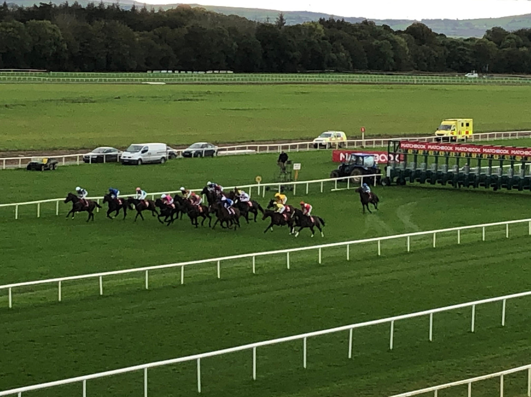 Cork Racecourse Mallow-Mallow必去景点
