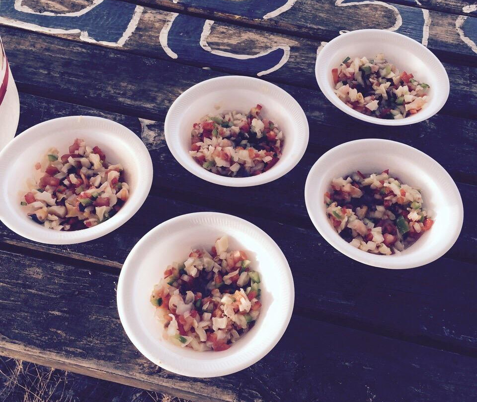 Sand & Sea Tours-普罗维登西亚莱斯必去景点