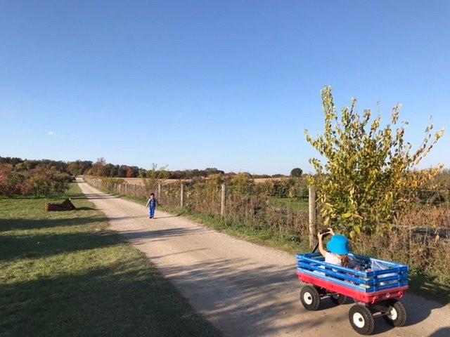 Orchard Home Farm-St. George必去景点