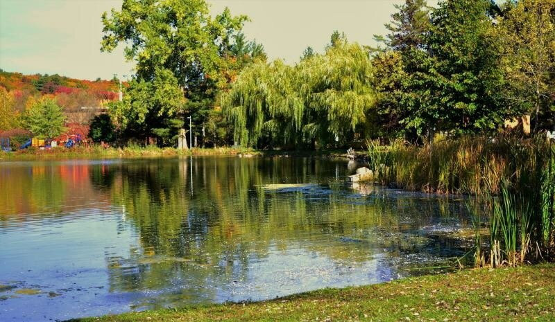 Parc du Grand-Coteau