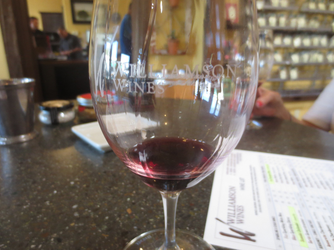 Williamson Wines Tasting Room-希尔兹堡必去景点