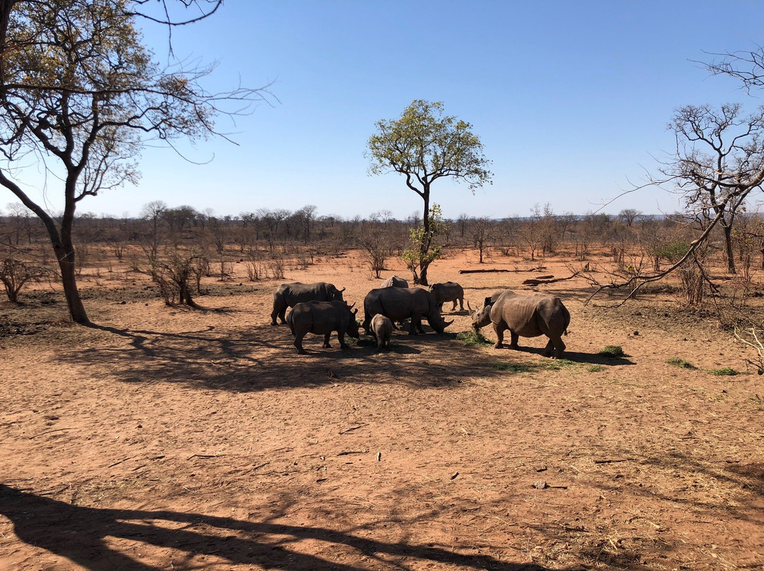 African Joined Tours and Safaris-李文斯顿必去景点