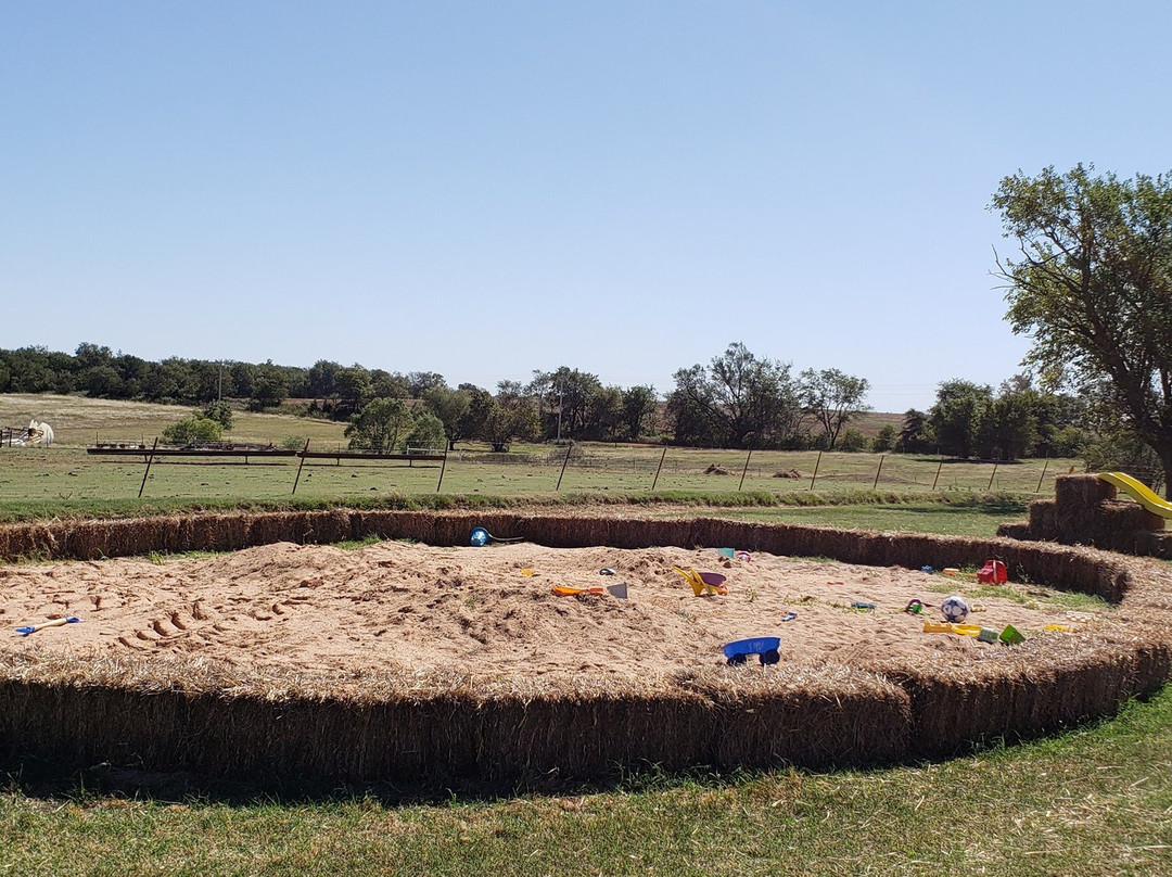 Daze in a Maze-Enid必去景点