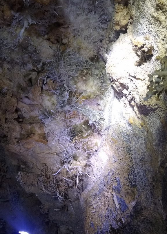 Caverna do Cafezal-伊波兰加必去景点