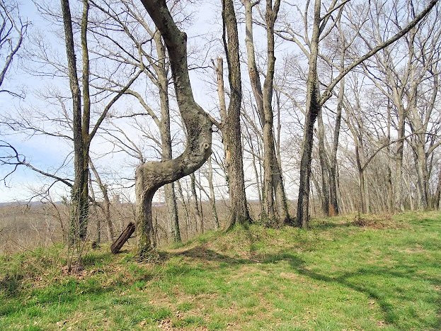 Fort Granger Park-富兰克林必去景点