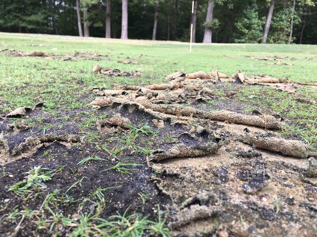 Stonehouse Golf Club-Toano必去景点