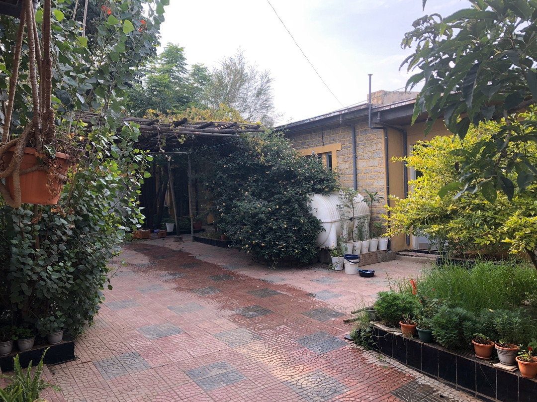 Parrot Pension & Guest House主图