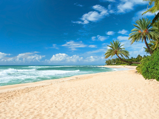 North Shore Beach Bus