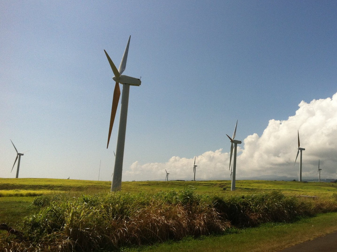 Hawi Wind Farm景点图片