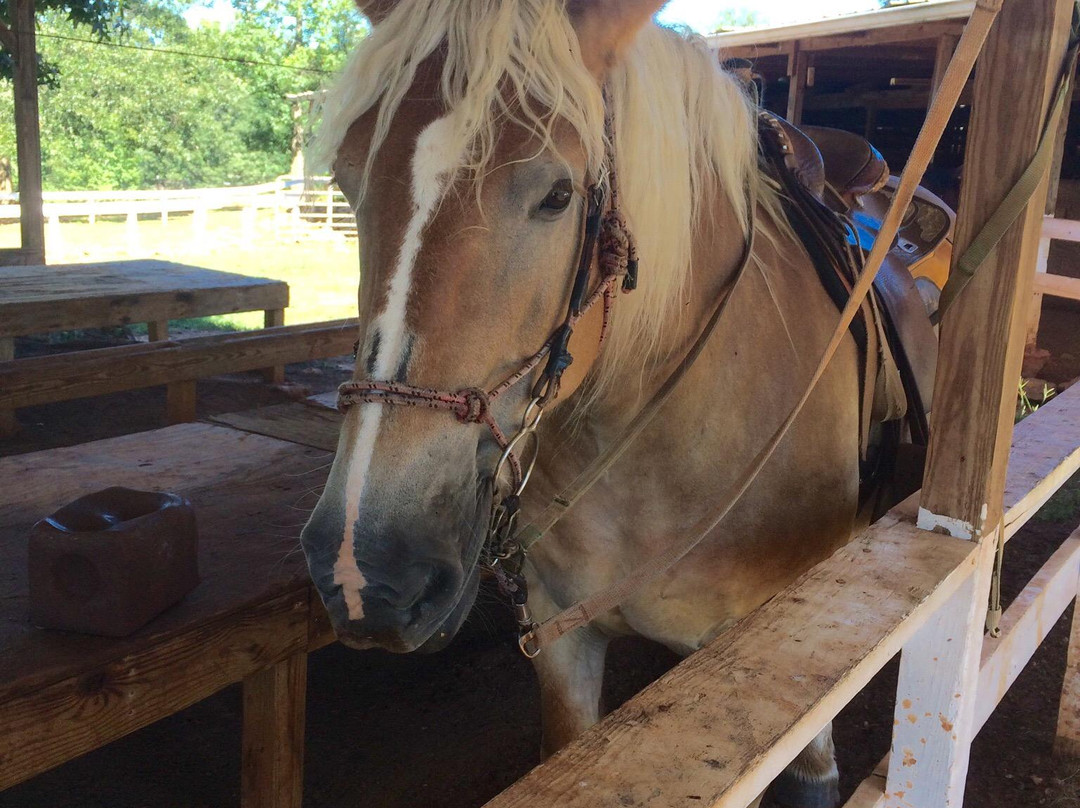 Butts Mill Farm-Pine Mountain必去景点