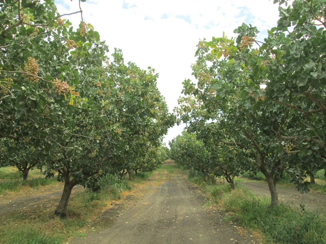 Le Grand旅游景点-Buchanan Hollow Nut Company