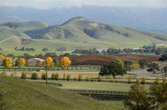 Santa Ynez Valley