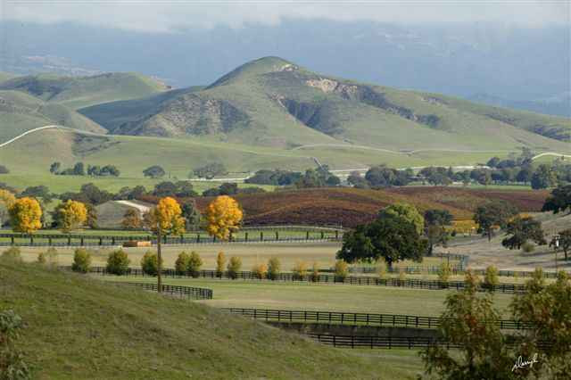 Santa Ynez Valley景点图片