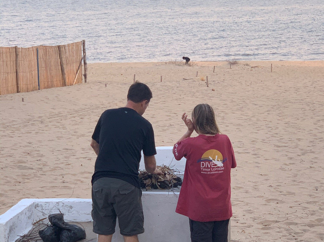 Fish Eagle Bay Lodge主图