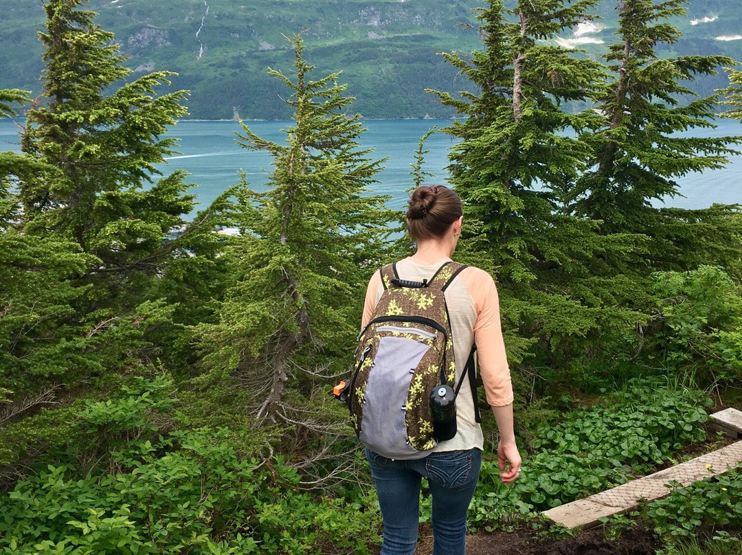 Horsetail Falls Trail