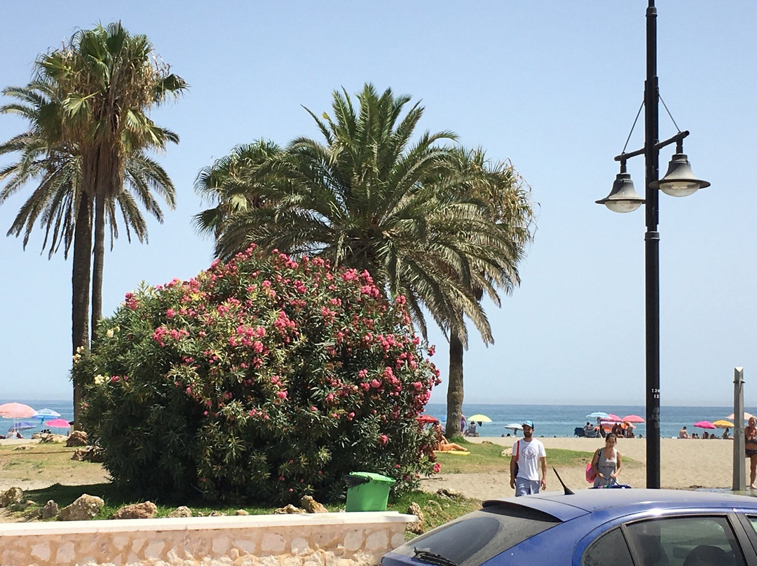 Hotel Ponte Real主图