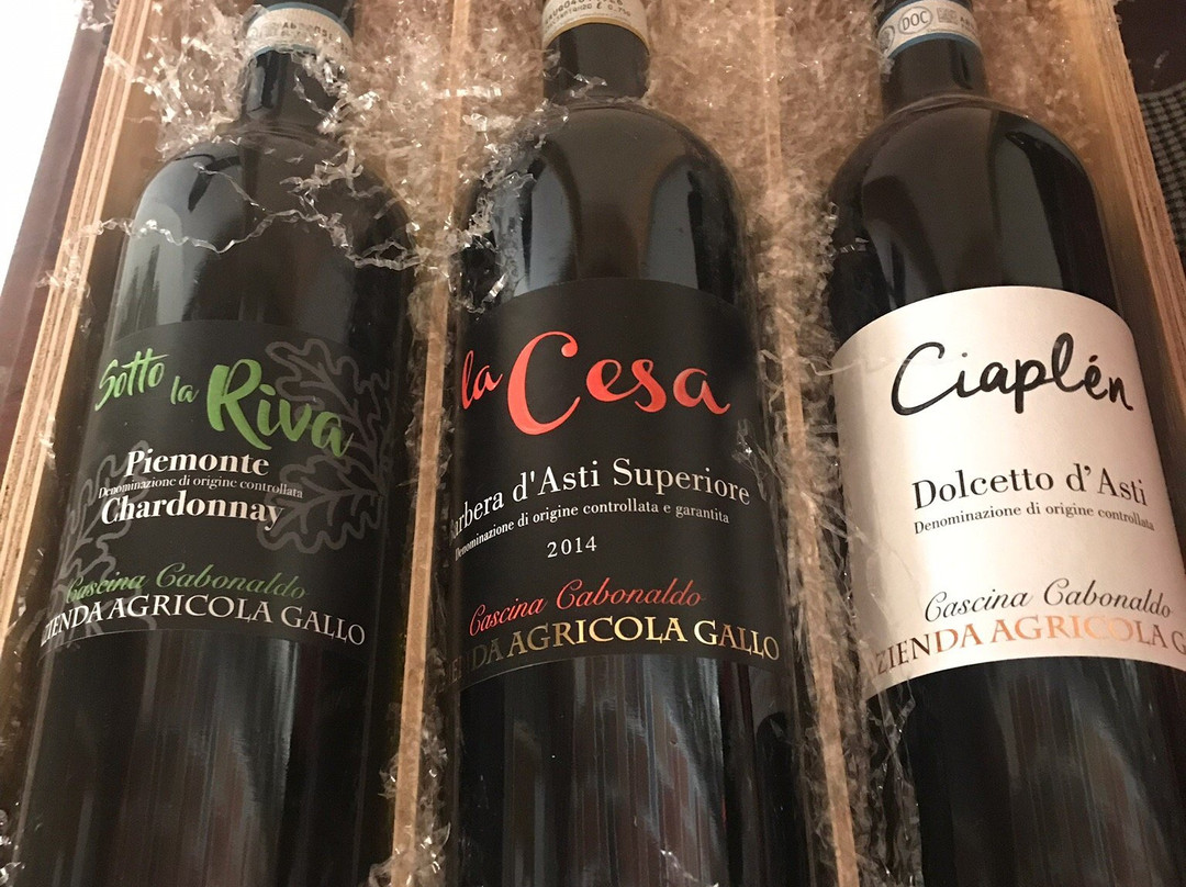 Azienda Agricola Gallo-Montabone必去景点