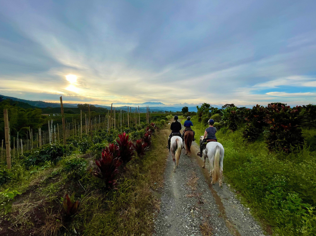 Rancho Saman-佩雷拉必去景点