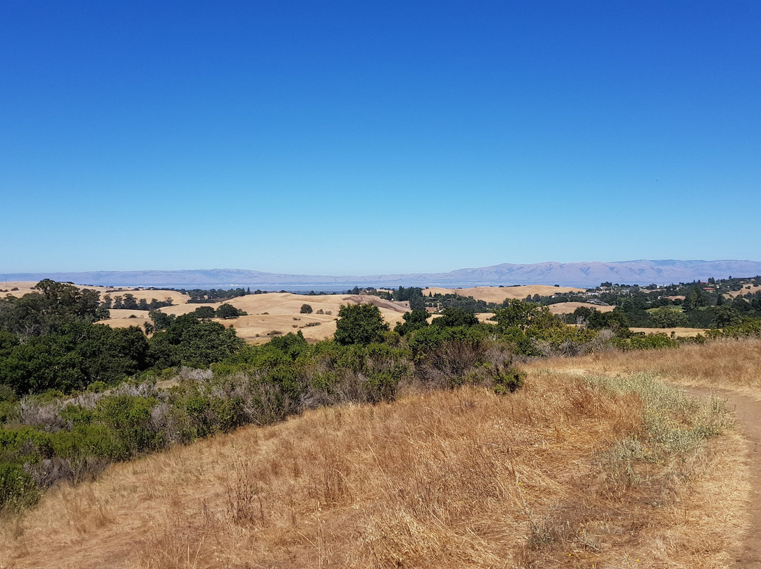 Pearson-Arastradero Preserve-帕罗奥多必去景点