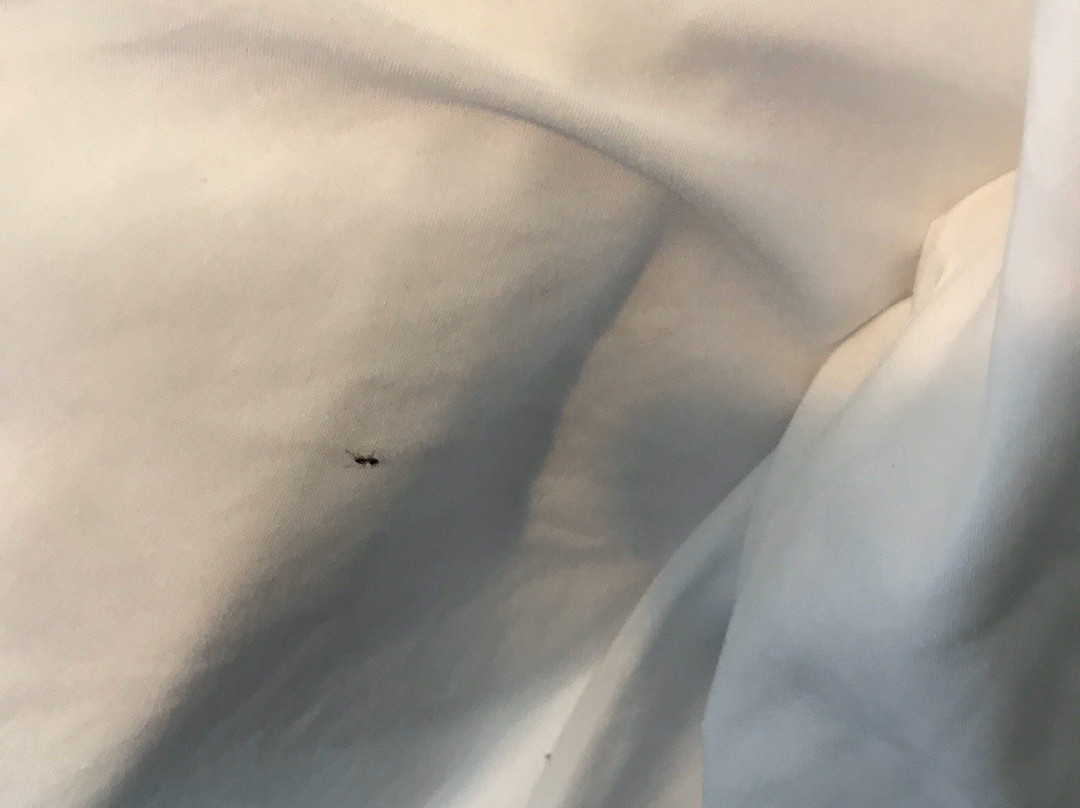 Quality Inn Tigard - Portland Southwest主图