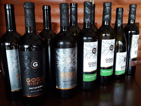 Matei Anatolie-基希讷乌必去景点