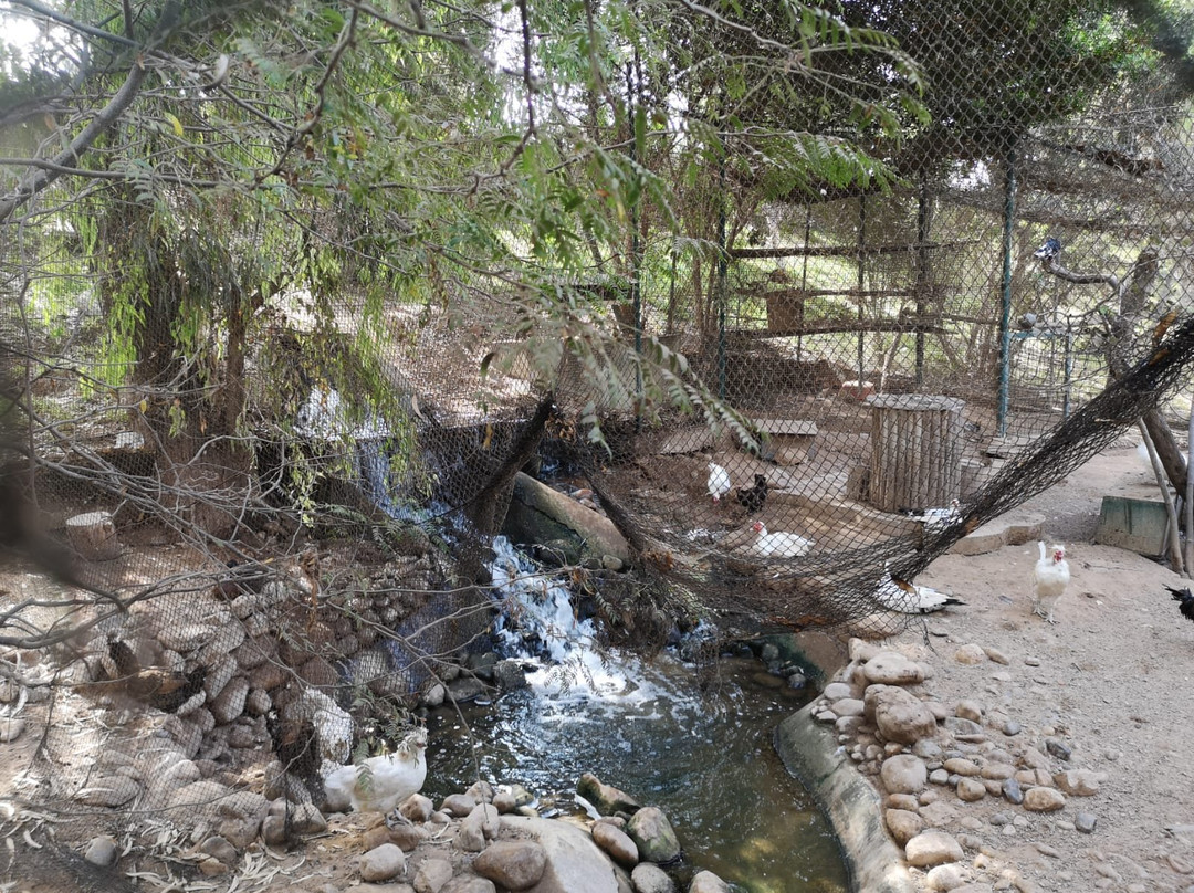 Agadir Birds Valley-Toundoute必去景点