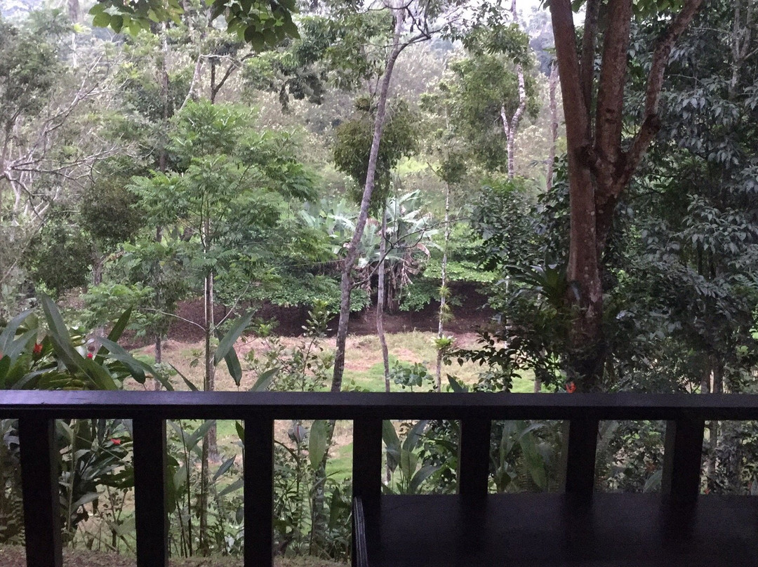 Hotel La Hacienda主图