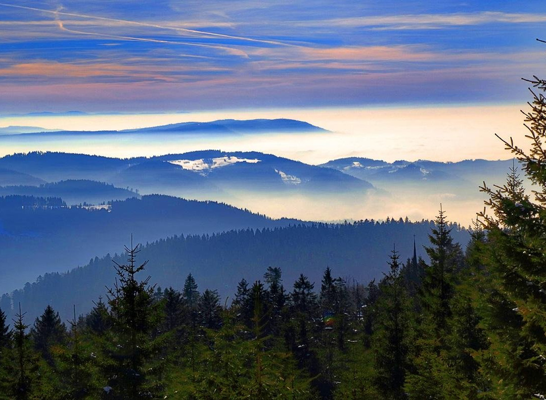 Hotel Schwarzwaldtanne主图