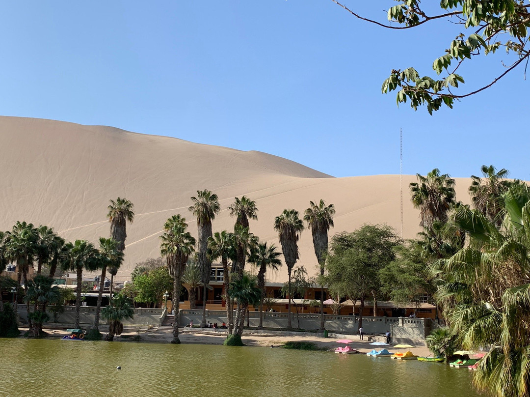 Ica, huacachina, boggies pisco food-Huacachina必去景点