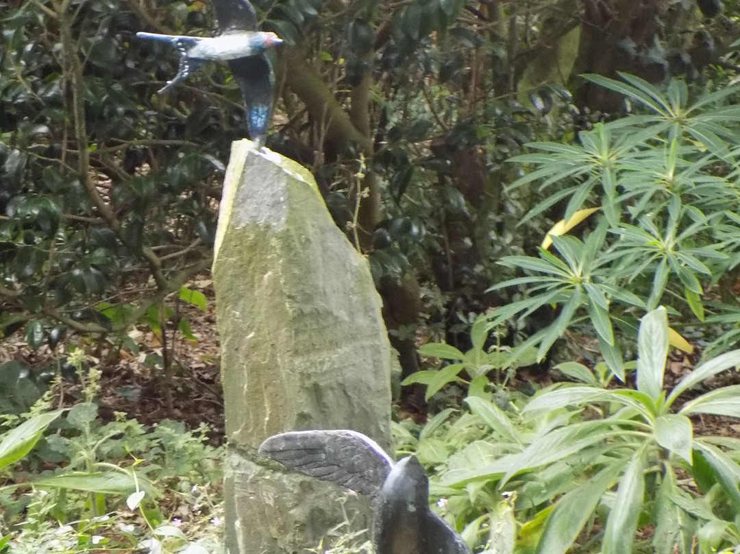 Wild Subtropical Garden-St Martin必去景点