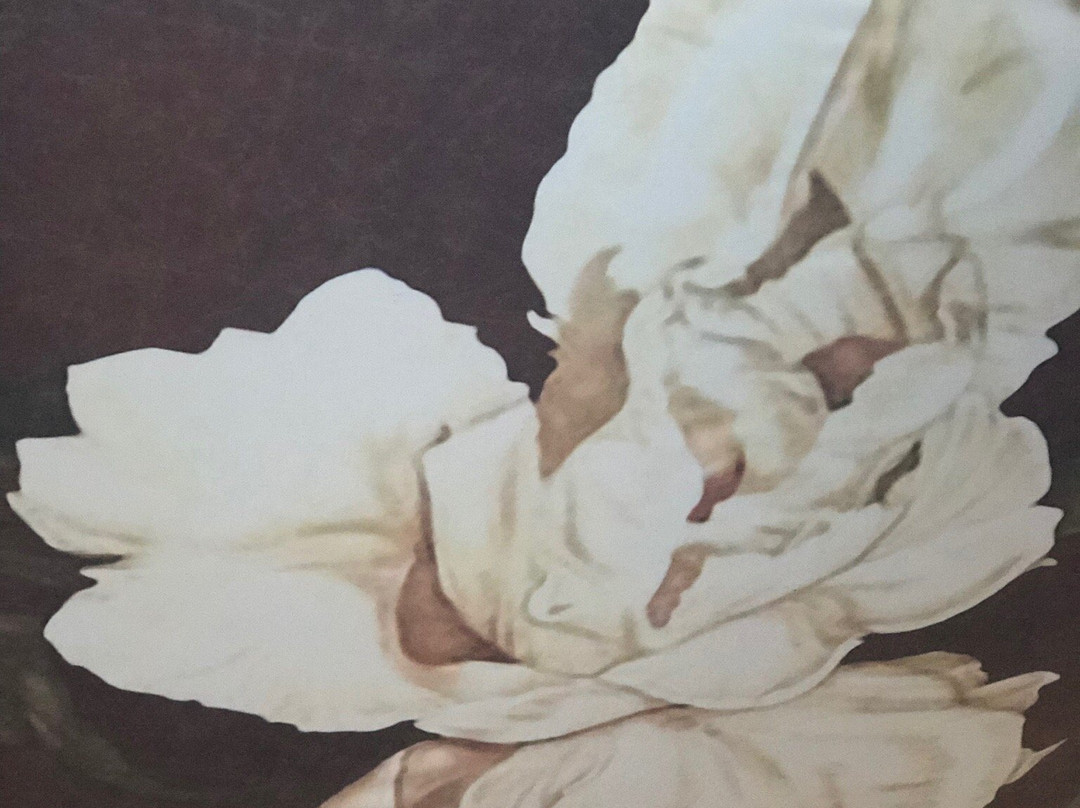 Sercotel Encin Golf主图