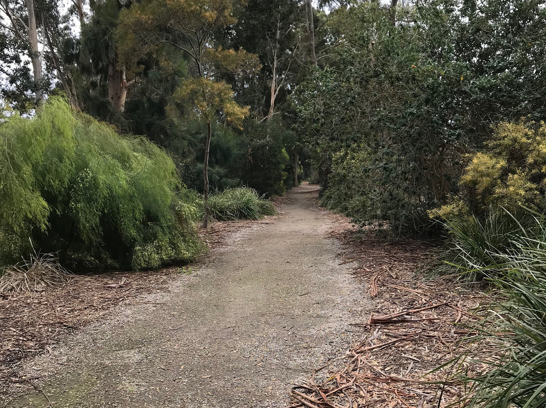 R E McIndoe Park-Leongatha必去景点
