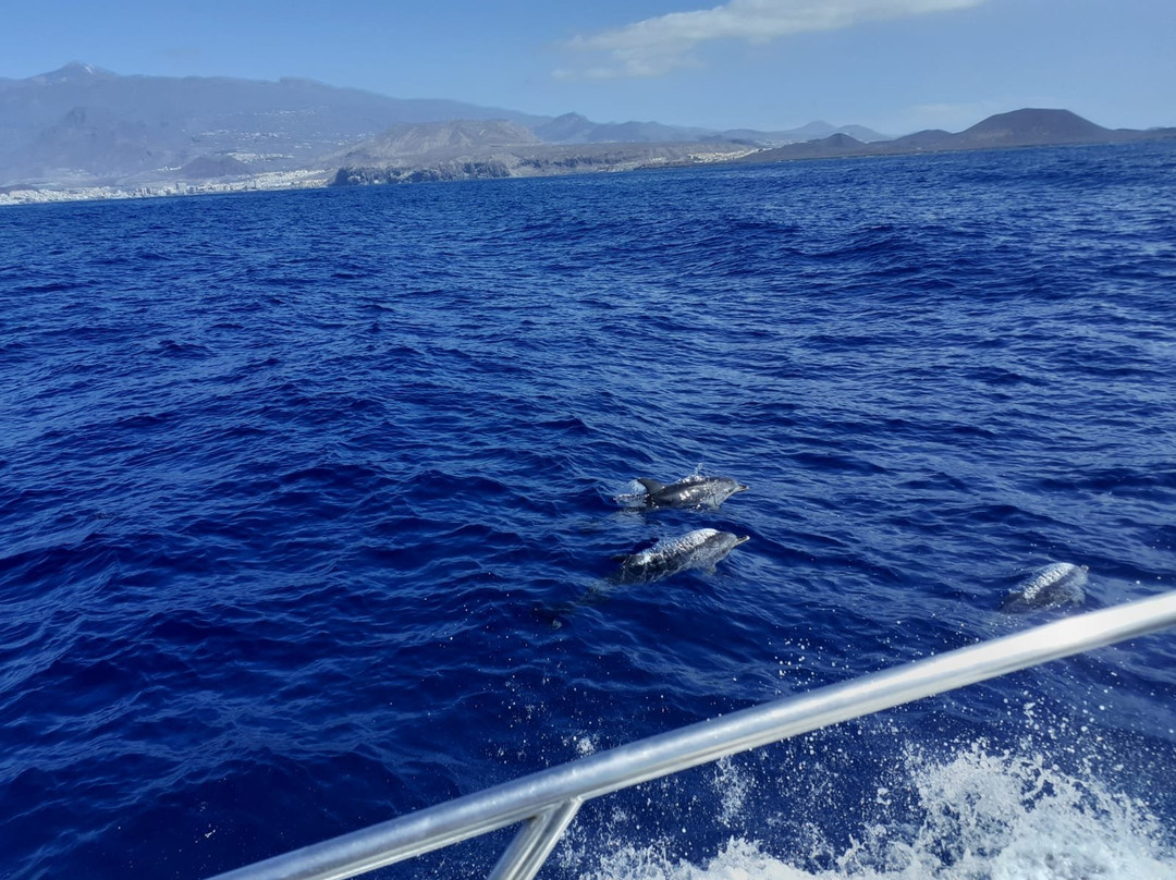 Tonina Cruises-拉斯加勒塔斯必去景点