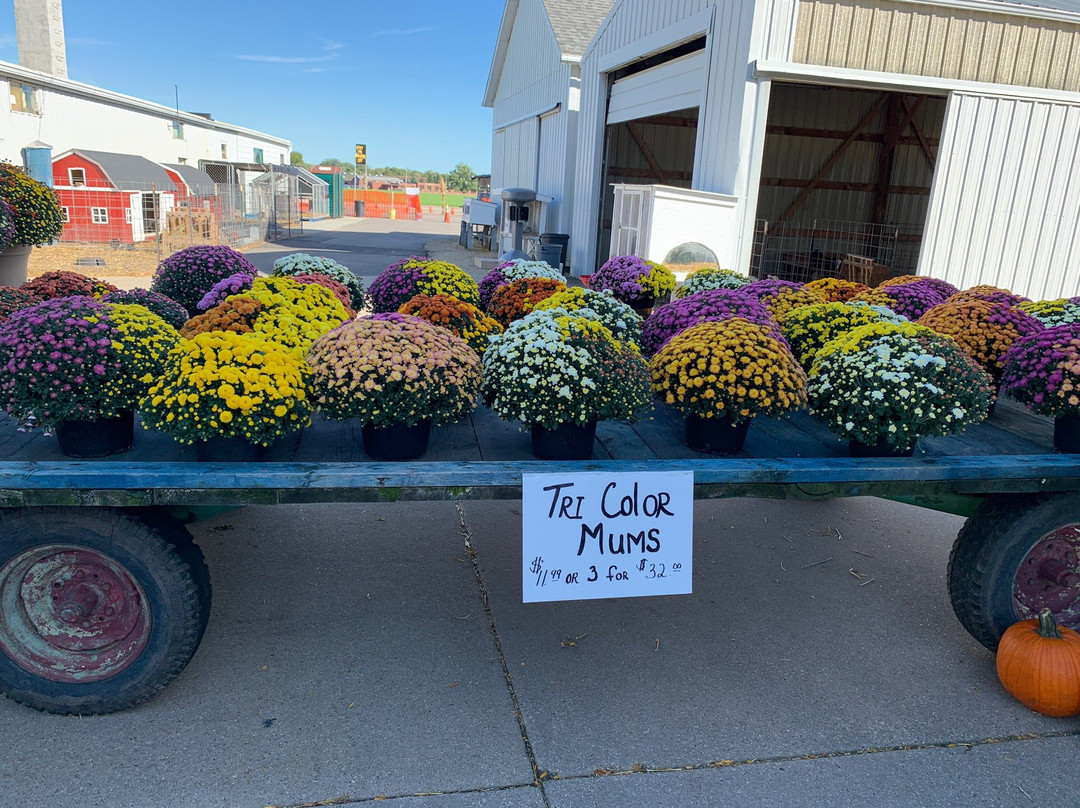 Selmi's Greenhouse and Family Farm-Rock Falls必去景点