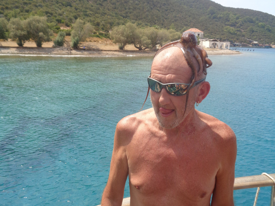 Akbaba Deniz Boat景点图片