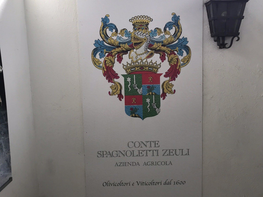 Conte Spagnoletti Zeuli - Azienda Agricola-安德里亚必去景点