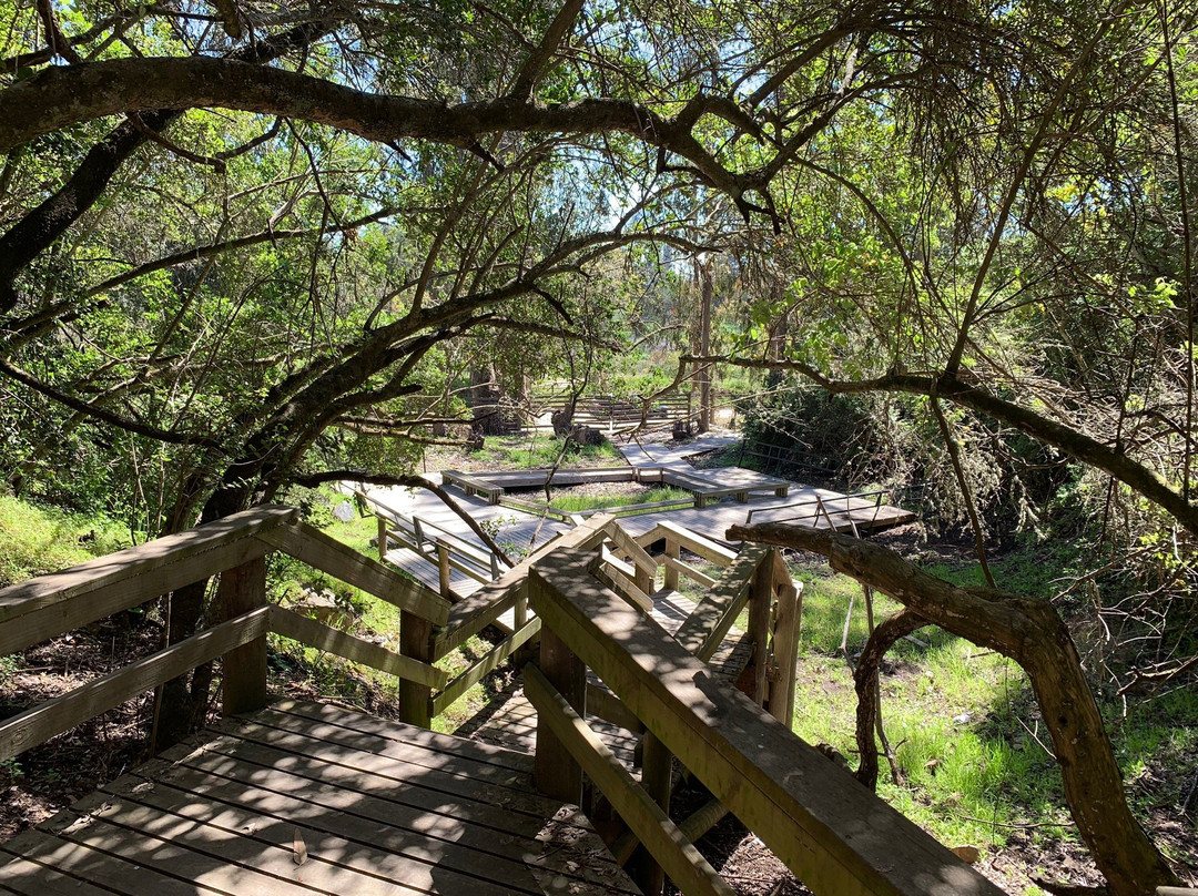 Cuevas De Quivolgo-Constitucion必去景点