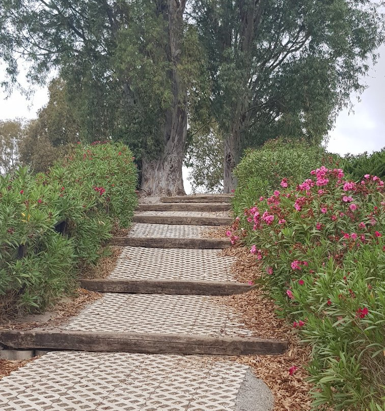 Parque del Mediterraneo-阿尔穆涅卡尔必去景点