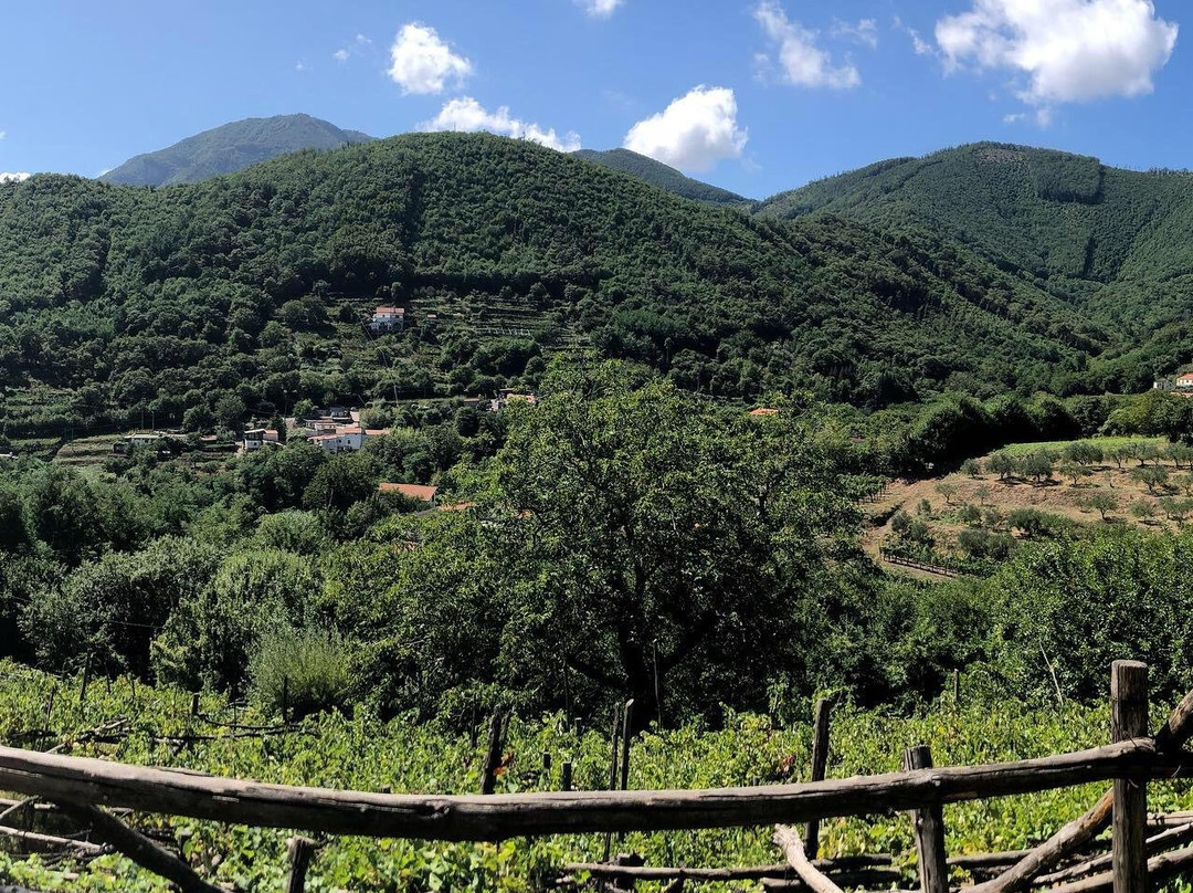 Amalfi Tour Leader-阿马尔菲必去景点