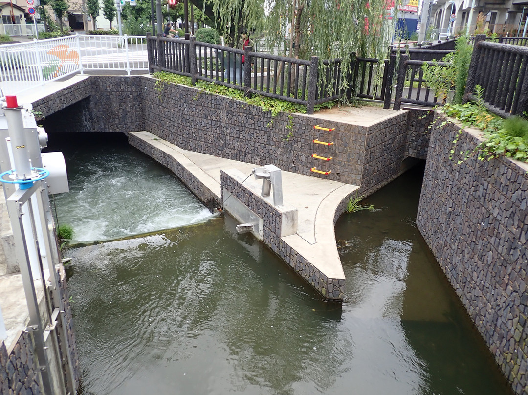 Yattawan-稻城市必去景点