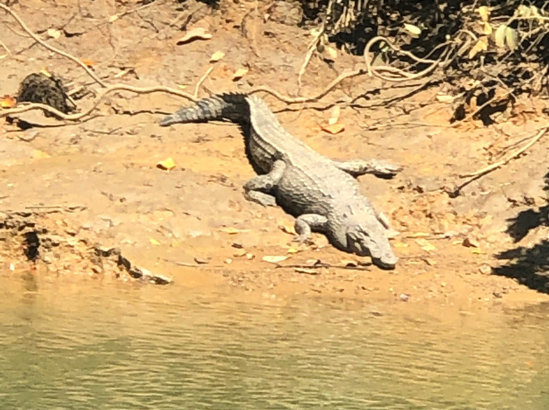 Snapping Tours-因尼斯费尔必去景点