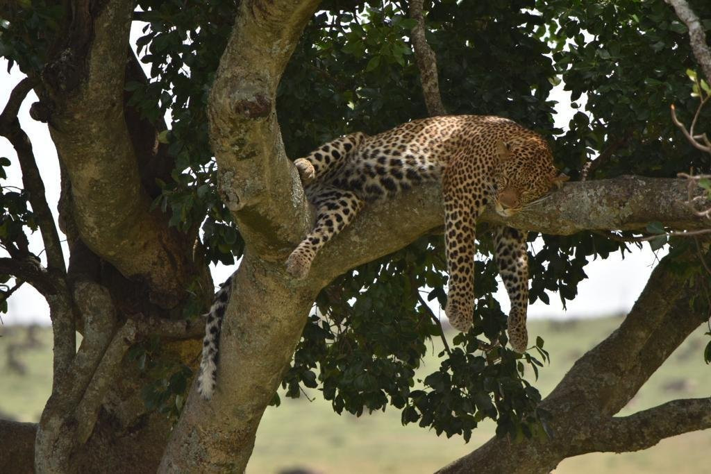 Sri Lanka Amazing Tours-加勒必去景点