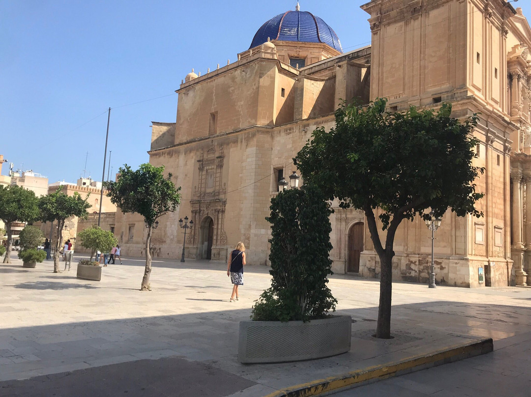 Elche Tourist Information Office景点图片