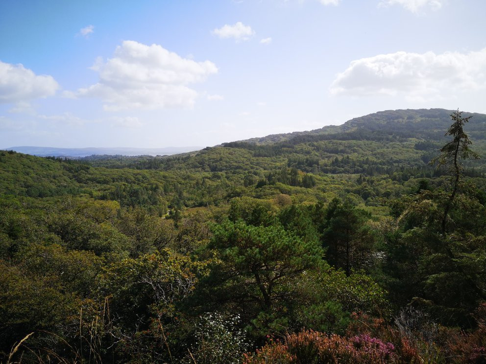 Glengariff Woods景点图片