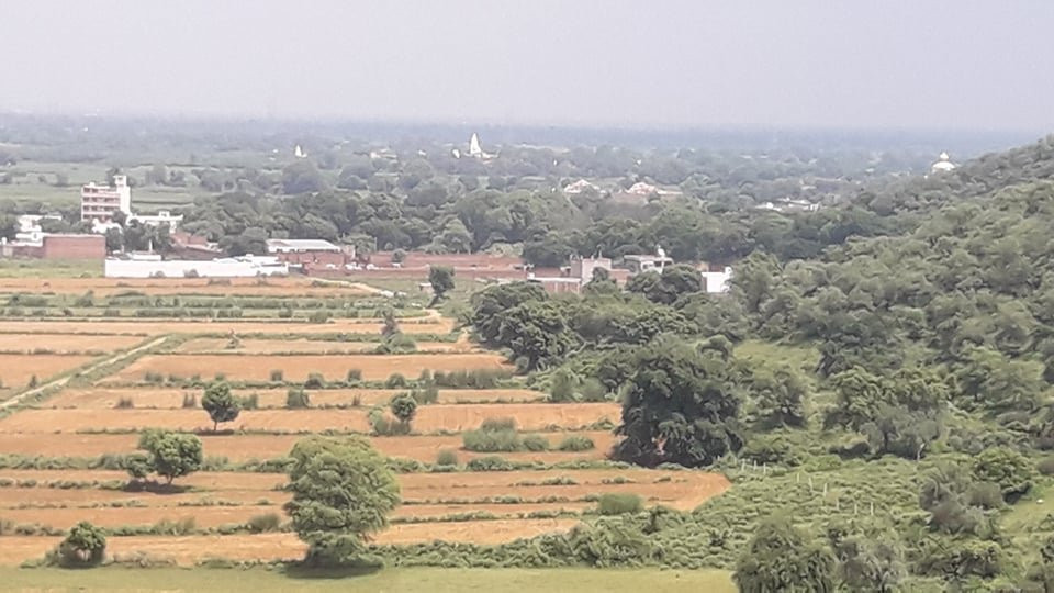 Radha Raman Temple景点图片